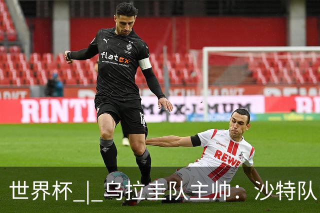 世界杯 | 乌拉圭队主帅：沙特队门将太出色