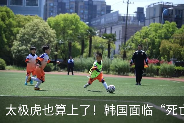 太极虎也算上了！韩国面临“死亡游戏” 出局OR晋级全看别队